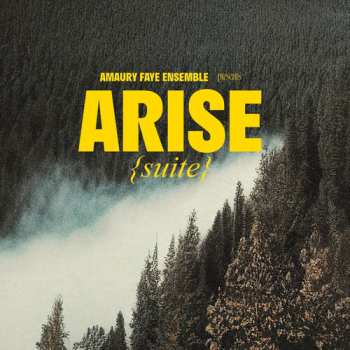 Album Amaury Faye Ensemble: Arise