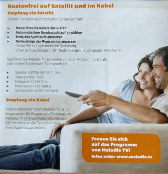 CD Amigos: Grosse Erfolge Instrumental