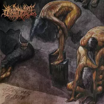 Anatomize: Systematic Torture