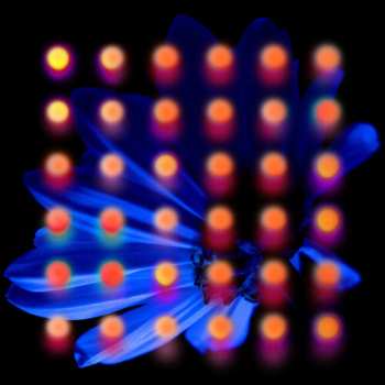 CD Anberlin: Nevertake