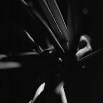 Album Andrea Belfi: Strata