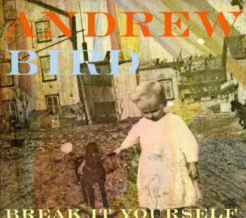 CD Andrew Bird: Break It Yourself
