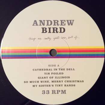 LP Andrew Bird: Things Are Really Great Here, Sort Of...