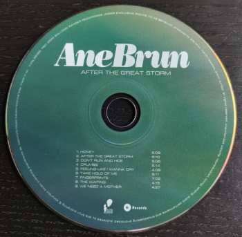 CD Ane Brun: After The Great Storm