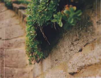 CD Angelic Foe: Amulets And Charms