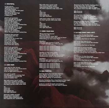 2LP Angelzoom: Angelzoom - 20th Anniversary LTD