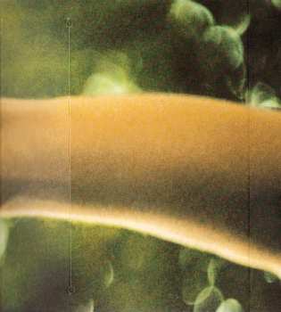 CD Ani DiFranco: Knuckle Down