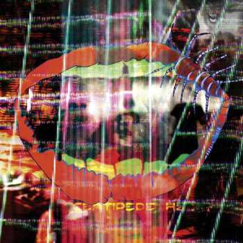 Album Animal Collective: Centipede Hz