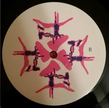 LP Animal Collective: Here Comes The Indian