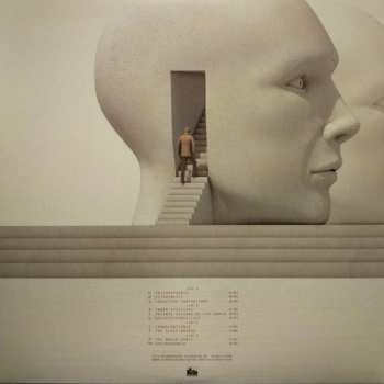 2LP Animals As Leaders: The Madness Of Many CLR | LTD
