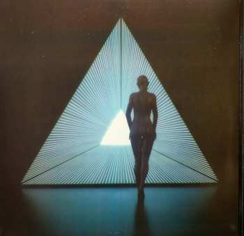 2LP Animals As Leaders: The Madness Of Many CLR | LTD