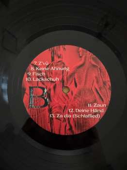 LP Anna Buchegger: Windschatten