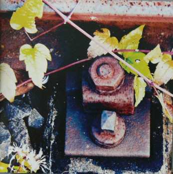 CD Anne Haigis: Wanderlust