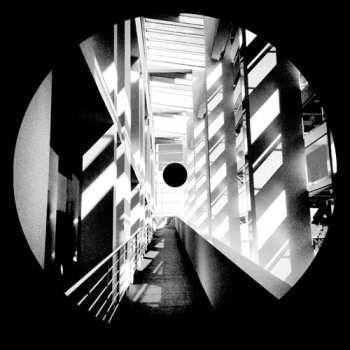 Album Ant Orange: Ant Orange