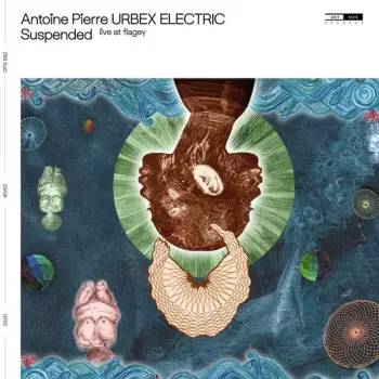 Antoine Pierre: Suspended (Live At Flagey)
