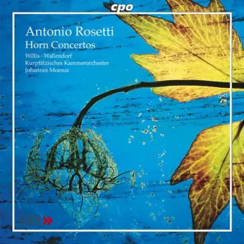 Horn Concertos