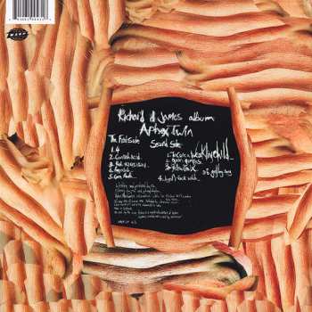 LP Aphex Twin: Richard D. James Album