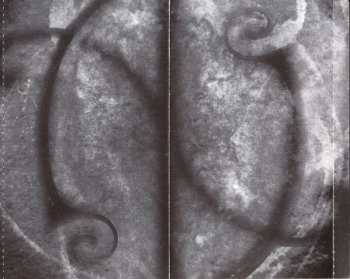 CD Apocryphal Voice: Stilltrapped