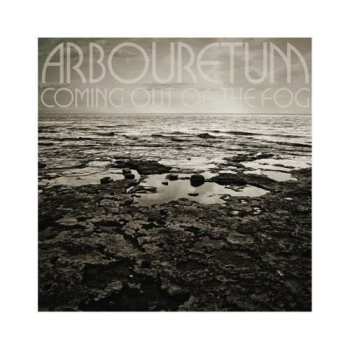 CD Arbouretum: Coming Out Of The Fog