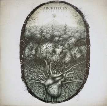 LP Architects: Daybreaker LTD | CLR