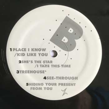 2LP Arthur Russell: World Of Echo