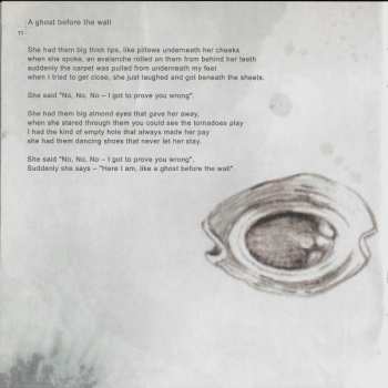 CD Asaf Avidan & The Mojos: The Reckoning