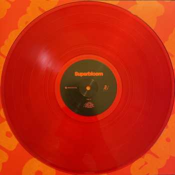 LP Ashton Irwin: Superbloom: A Live Experience