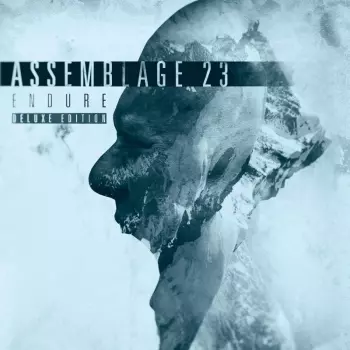 Assemblage 23: Endure