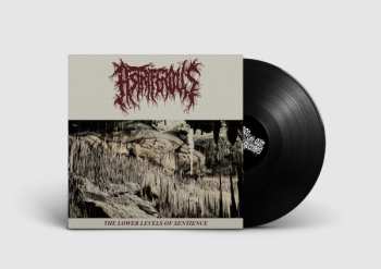 LP Astriferous: The Lower Levels Of Sentience