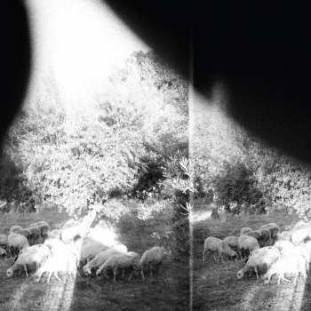 CD Godspeed You! Black Emperor: Asunder, Sweet And Other Distress