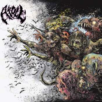 CD Atoll: Prepuce