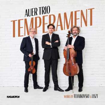 Album Auer Trio: Temperament