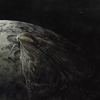 Moth And The Moon
