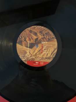 LP Avishai Cohen: Continuo