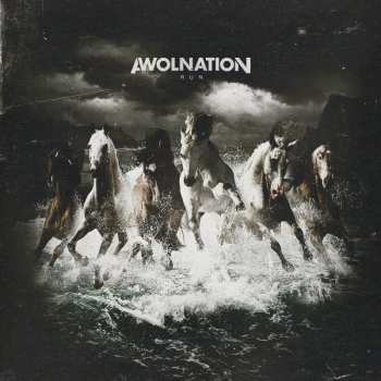 2LP Awolnation: Run