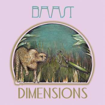 LP Baast: Dimensions