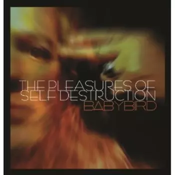 Babybird: The Pleasures Of Self Destruction