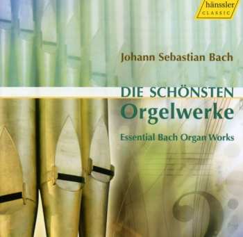 Album Bach / Johannsen / Bryndorf / Marcon / Zerer: Essential Bach Organ Works