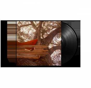 LP The Backseat Lovers: Waiting to Spill