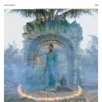 Baloji: 137 Avenue Kaniama