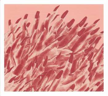 2CD/Box Set/Blu-ray Band-Maid: Unseen World LTD