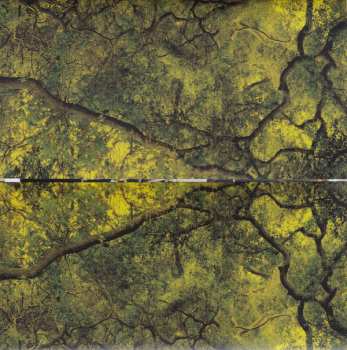 CD Band Of Horses: Everything All The Time