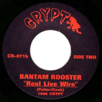 SP Bantam Rooster: Miss Luxury