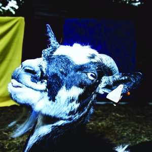 Album Barely Autumn: Day Trip To The Petting Zoo