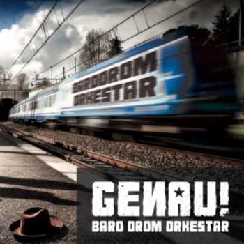 CD Baro Drom Orkestar: Genau!