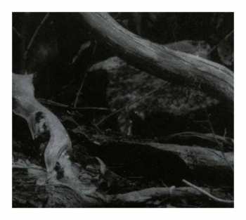 Album Barren Canyon: World Of Wounds