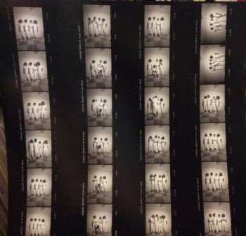 LP Basement 5: In Dub LTD