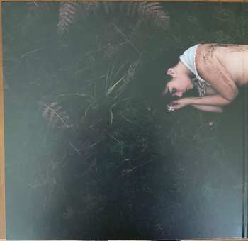 LP Bat For Lashes: The Dream of Delphi
