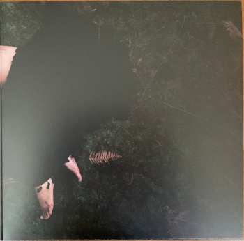 LP Bat For Lashes: The Dream of Delphi