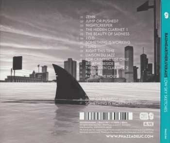 CD Pit Baumgartner: Low Sky Sketches